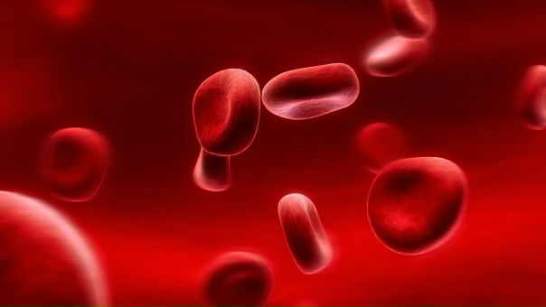 Эритроциты являются наиболее многочисленными форменными элементами крови, основной функцией которых является осуществление переноса газов. Таким образом, эритроциты осуществляют снабжение периферических тканей кислородом и удаление из организма углекислого газа – конечного продукта полного распада биологических веществ. 