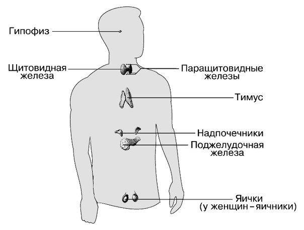 Нарушения эндокринной системы 