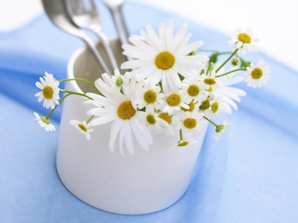  Необыкновенный эффект от умывания ромашкой! 