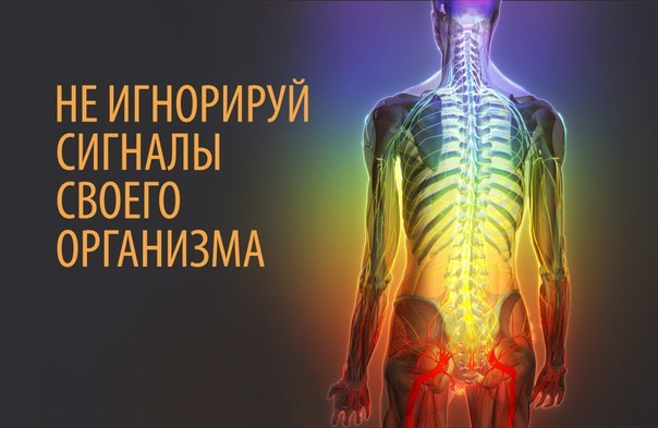 НАШ ОРГАНИЗМ И ЕГО СИГНАЛЫ
