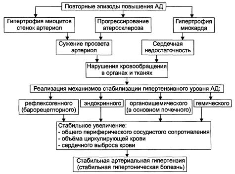 Гипертоническая болезнь 