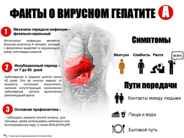 Вирусный гепатит A 