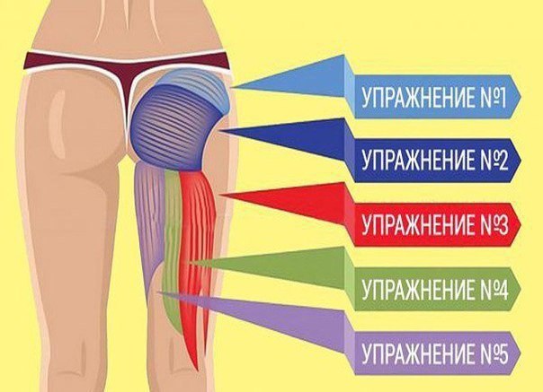 АКТИВНАЯ ТРЕНИРОВКА НОГ И ЯГОДИЦ