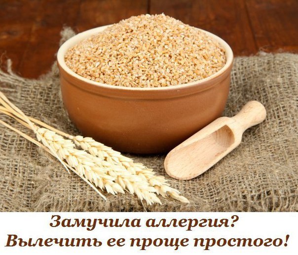 Замучила аллергия Хватит пить таблетки! Вылечить ее проще простого! 