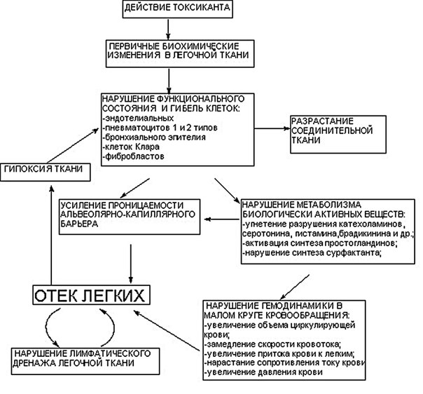 Патофизиология отека легких 