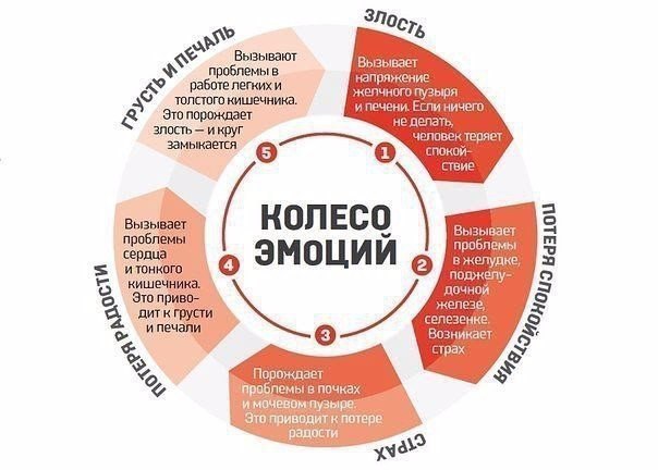 ОТ ЧЕГО ВОЗНИКАЮТ БОЛЕЗНИ ПО МНЕНИЮ КИТАЙЦЕВ
