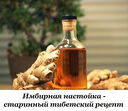 ИМБИРНАЯ НАСТОЙКА ДЛЯ ВОССТАНОВЛЕНИЯ ИММУНИТЕТА И НОРМАЛИЗАЦИИ ОБМЕНА ВЕЩЕСТВ