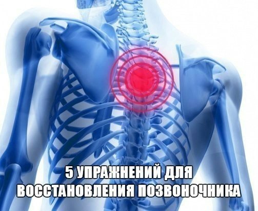 5 упражнений для восстановления позвоночника