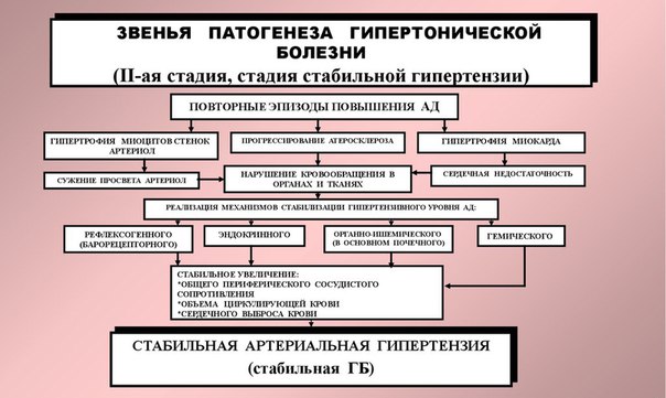 Стадии гипертонической болезни: