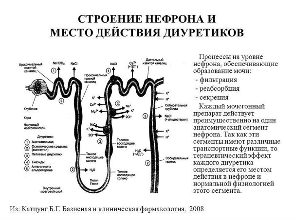 Диуретики 