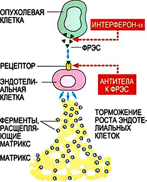 Что такое опухолевый клик 