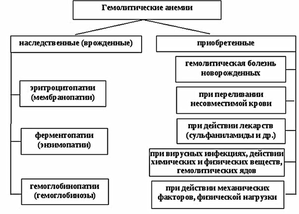 Гемолитическая анемия является заболеванием, при котором значительно укорачивается длительность существования эритроцитов за счет ряда внешних и внутренних эритроцитарных факторов. Внутренними факторами, приводящими к уничтожению эритроцитов, являются различные аномалии строения ферментов эритроцитов, гема или клеточной мембраны. Внешними факторами, способными привести к разрушению эритроцита, являются различного рода иммунные конфликты, механическое разрушение эритроцитов, а также заражение организма некоторыми инфекционными заболеваниями. 