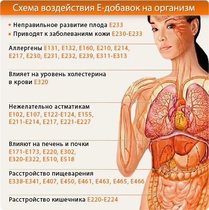 Схема воздействия Е-добавок на организм 