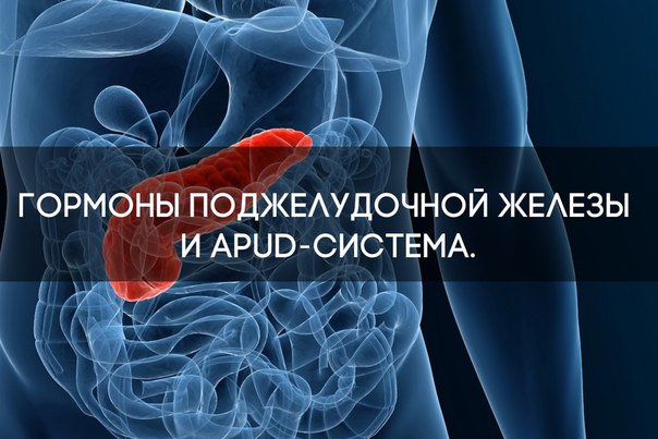 Гормоны поджелудочной железы и APUD-система.
