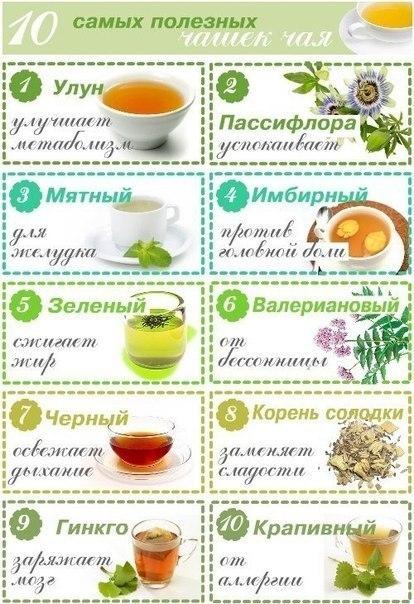 10 самых полезных чашек чая 