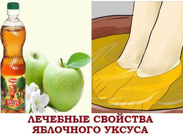 ЛЕЧЕБНЫЕ СВОЙСТВА ЯБЛОЧНОГО УКСУСА