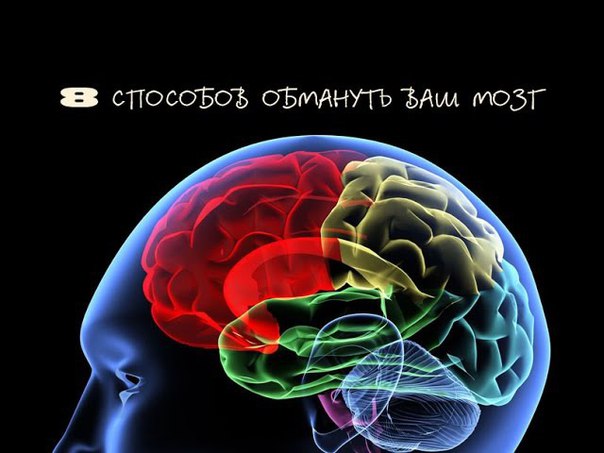 8 способов обмануть свой мозг