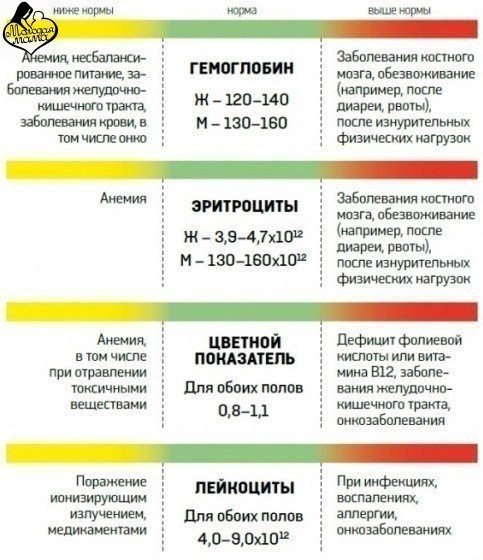 О чем расскажет анализ крови 