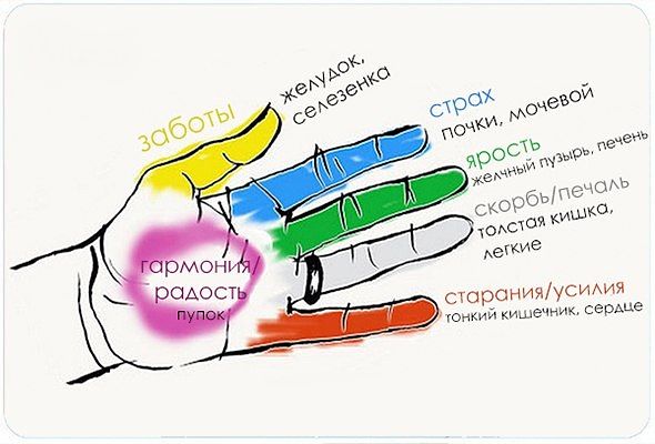 Секрет гармонии тела и души! Оказывается, человеческие органы неразрывно связаны с пальцами. 