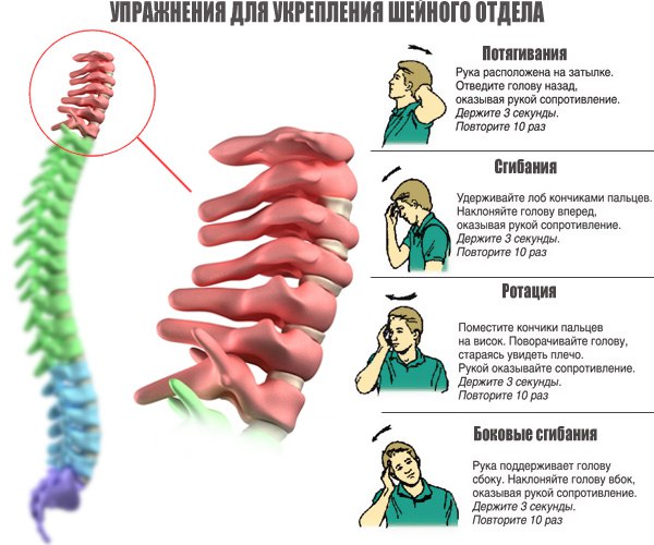 Упражнения для укрепления позвоночника 