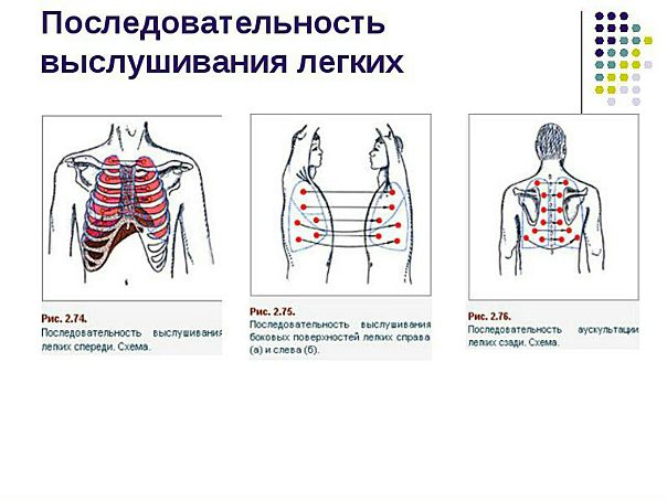 Бронхофония — проведение голоса с бронхов на грудную клетку, опредиляется при помощи аускультации. Бронхофония исследуется обязательно над симметрическими участками легких. Можно пользоваться шепотной речью, что является более чувствительным методом. Для исследования бронхофонии больного заставляют произносить по возможности низким голосом (низкие звуки лучше передаются) простые и четкие слова, содержащие буквы «ш» и «ч», например «чашка чая». 