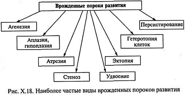 Факторы риска врожденных пороков развития. 