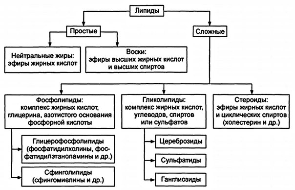 Диспротеинозы