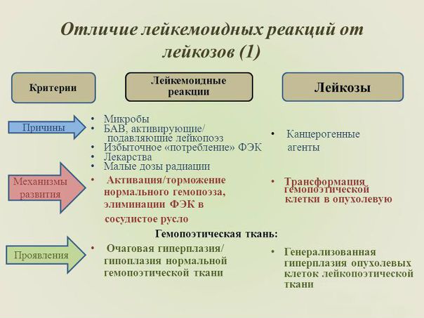 ЛЕЙКЕМОИДНЫЕ РЕАКЦИИ 