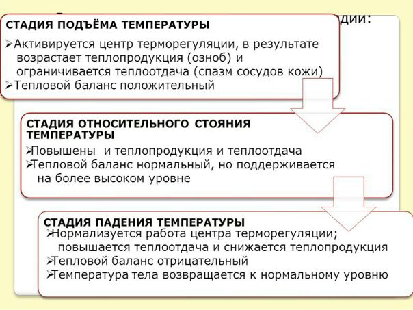 СТАДИИ ЛИХОРАДКИ 