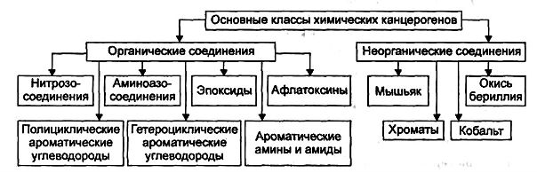 Химические канцерогены. 