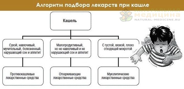 АЛГОРИТМ ВЫБОРА ПРЕПАРАТОВ ПРИ КАШЛЕ 