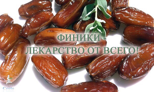 20 ФАКТОВ О ФИНИКАХ