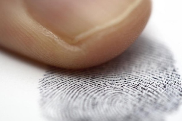 Почему у пальца есть отпечатки 