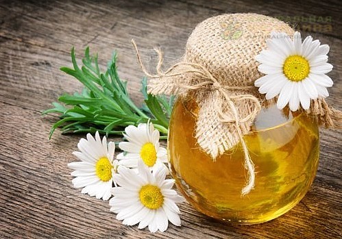 10 РЕЦЕПТОВ ДОМАШНЕГО CНОТВОРНОГО
