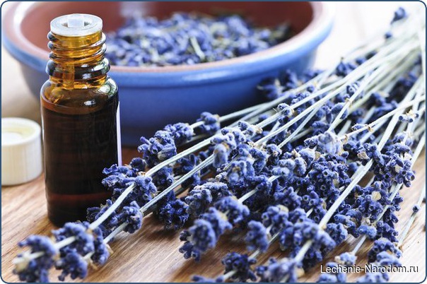 Интересные свойства эфирного масла лаванды.
