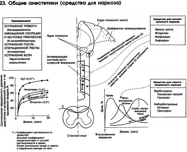 Наглядная фармакология! Часть 2