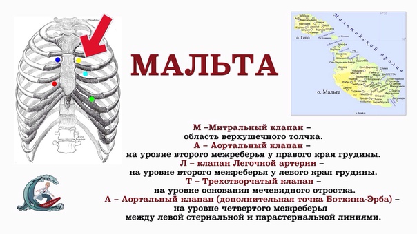 Вспоминаем аускультацию сердца