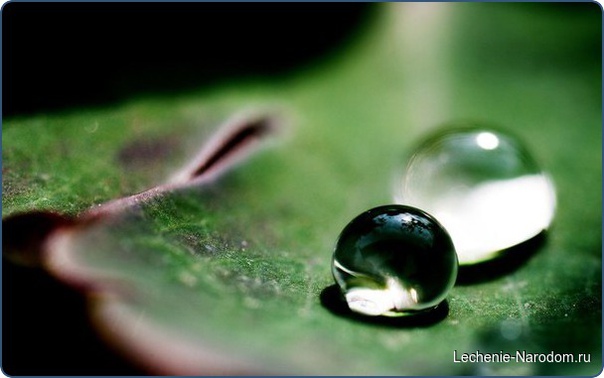 Отечность лица Поправим питание!