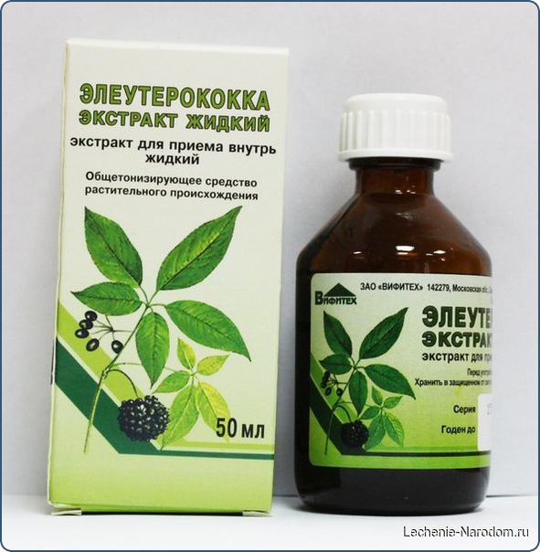 Не болеем, тонизируемся, молодеем — все с помощью элеутерококка!