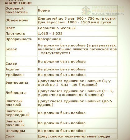 Общий aнaлиз мочи (нормa).