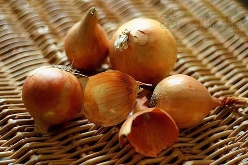 Отваp из луковой шeлухи