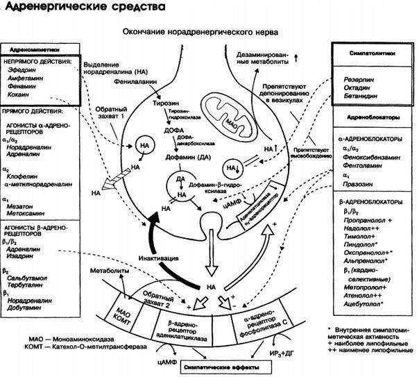 Наглядная фармакология! Часть 1