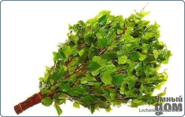 О пользе веников для бани.