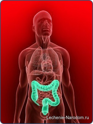 Почему здоровья толстого кишечника так важно 