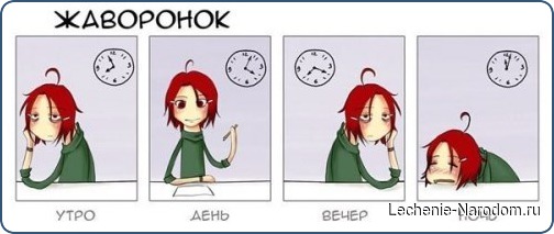 6 особенностей питания для «жаворонков»