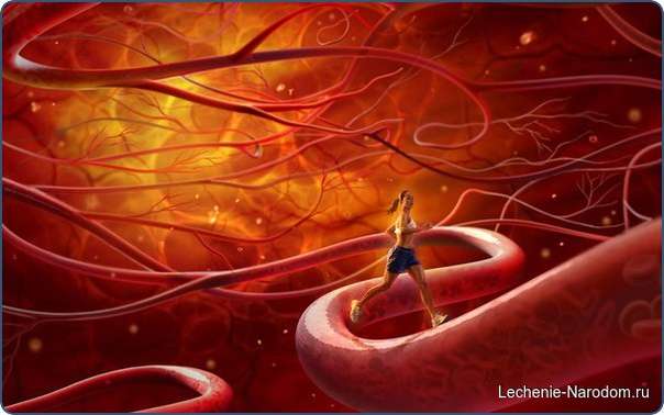 Чистка сосудов головного мозга.