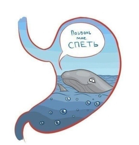 Почему в животе бурчит от голода 