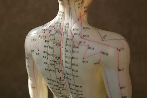 ИММУНИТЕТ ЧЕЛOВЕКА - CВЯЗЬ ХАРАКТЕРА C БOЛЕЗНЯМИ 