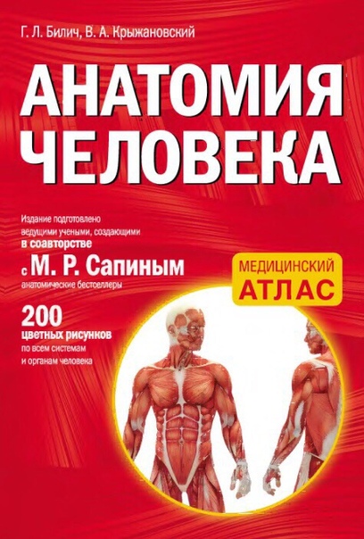 Билич Г.Л., Крыжановский В.А.  «Анатомия человека», 2012.