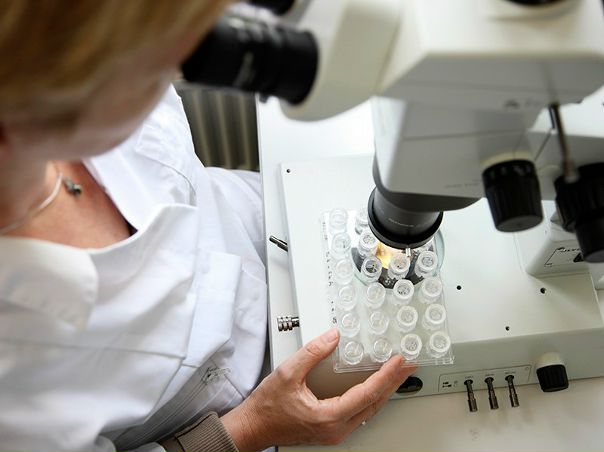 Ученые нашли белок, связанный с агрессивным раком груди